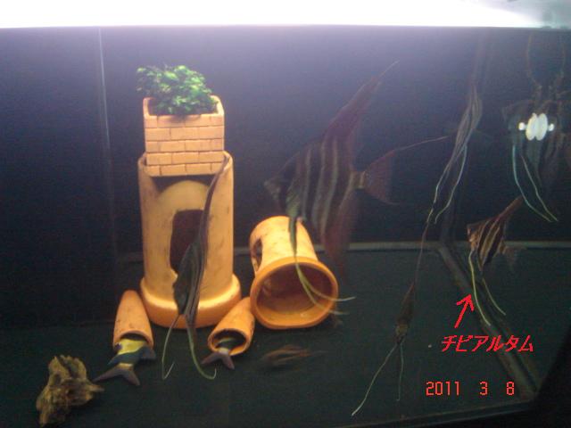 イメージ 1